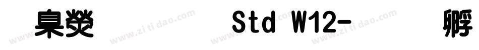 華康明體 Std W12字体转换